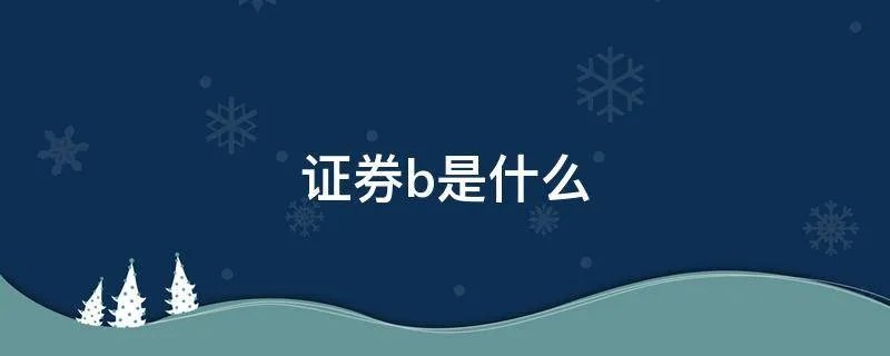 证券b是什么