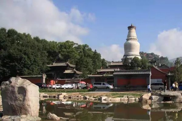 为何五台山的尼姑越来越多,越来越美?