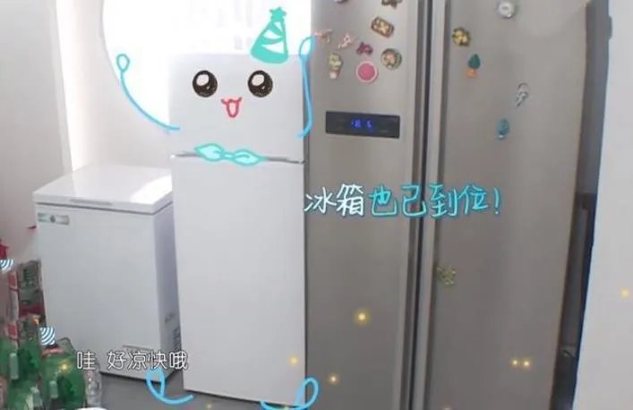 黄晓明买两台冰箱:这个店长有点霸道总裁范啊