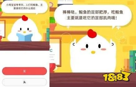 猫咪睡觉时为什么把身体蜷成团 一起来看看答案吧