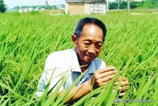 各地出现囤粮潮，粮荒是不是真的来了，大家怎么看？