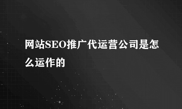 网站SEO推广代运营公司是怎么运作的