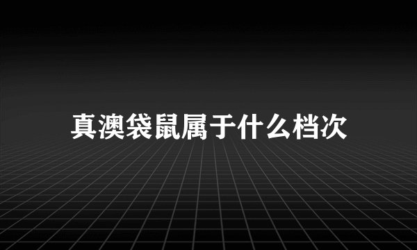 真澳袋鼠属于什么档次