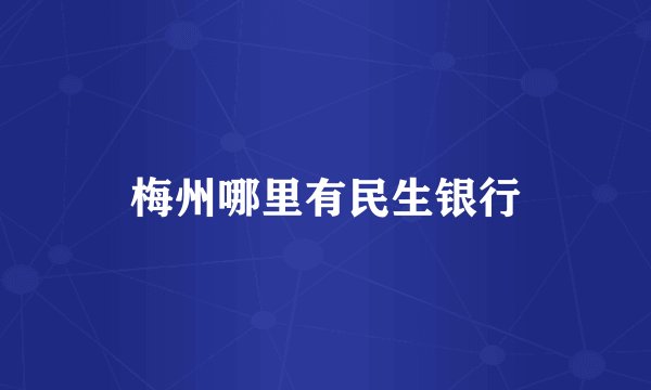 梅州哪里有民生银行