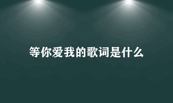 等你爱我的歌词是什么