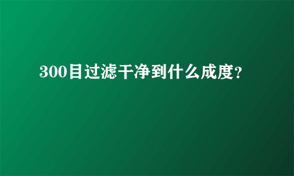 300目过滤干净到什么成度？