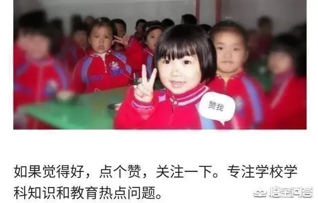 哪里可以看到教师招聘公告？