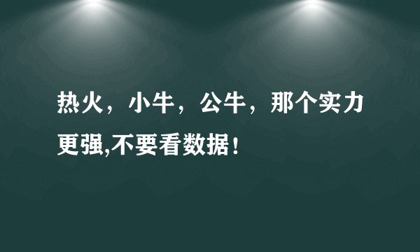 热火,小牛,公牛,那个实力更强,不要看数据!