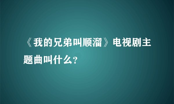 《我的兄弟叫顺溜》电视剧主题曲叫什么？
