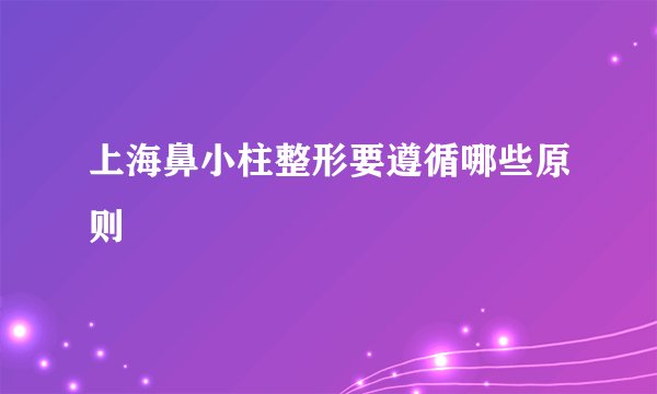 上海鼻小柱整形要遵循哪些原则