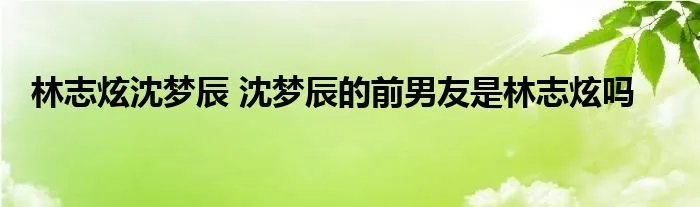 林志炫沈梦辰 沈梦辰的前男友是林志炫吗
