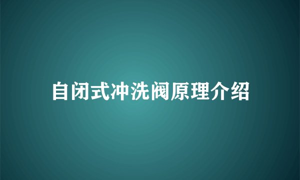 自闭式冲洗阀原理介绍