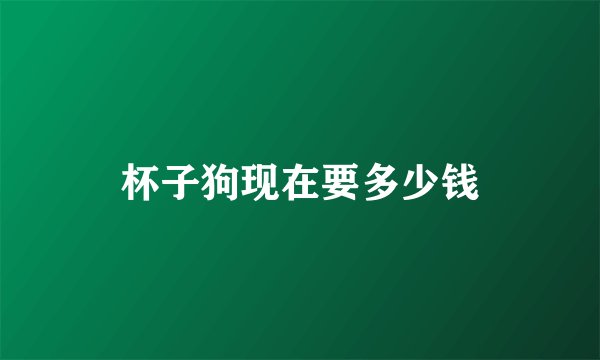 杯子狗现在要多少钱
