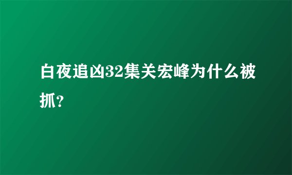 白夜追凶32集关宏峰为什么被抓？
