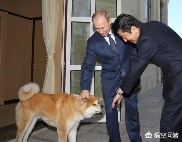 忍辱负重还是无可奈何?安倍晋三到底是不是个狠角色?