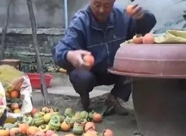 母亲摘140斤柿子送儿子返程,这是一种怎样的母爱?