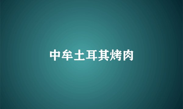 中牟土耳其烤肉