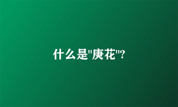 什么是