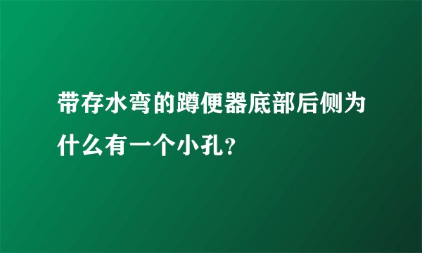 带存水弯的蹲便器底部后侧为什么有一个小孔？