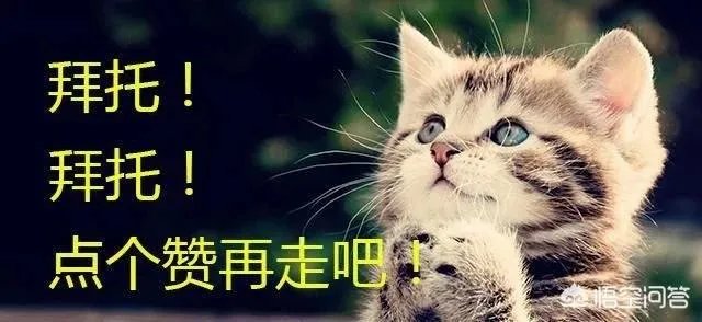 为什么格里芬一打火箭就来劲?最后时刻要命三分差点绝杀火箭什么水平?