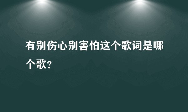 有别伤心别害怕这个歌词是哪个歌？