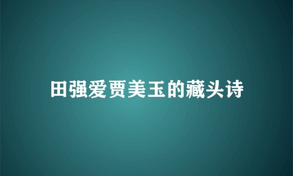 田强爱贾美玉的藏头诗