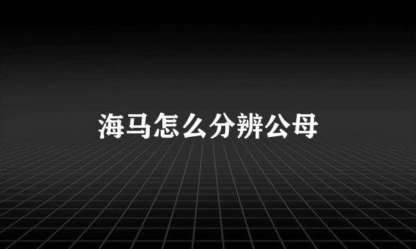海马怎么分辨公母