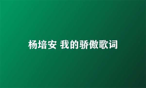 杨培安 我的骄傲歌词