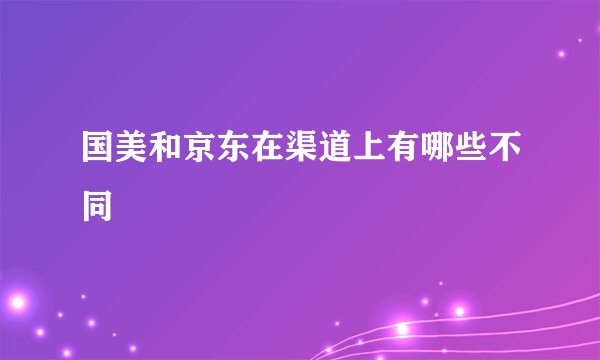 国美和京东在渠道上有哪些不同