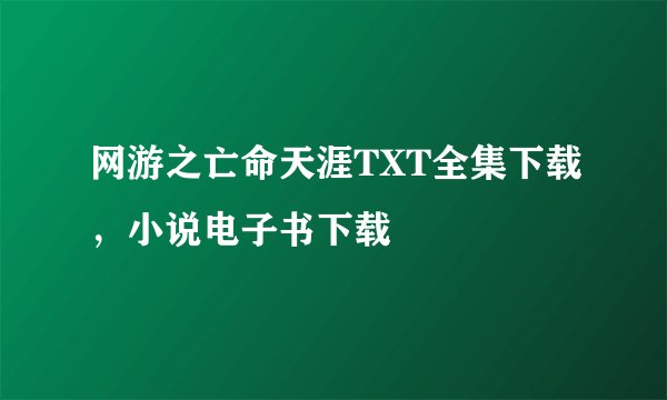 网游之亡命天涯TXT全集下载，小说电子书下载