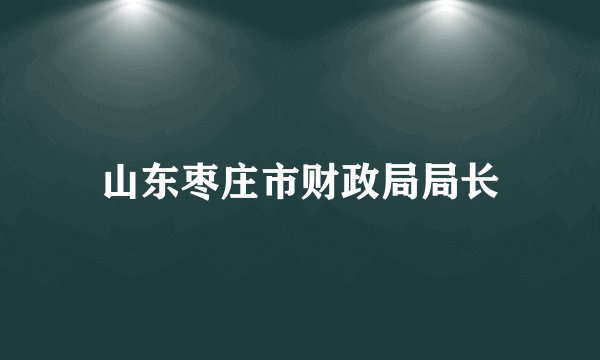 山东枣庄市财政局局长
