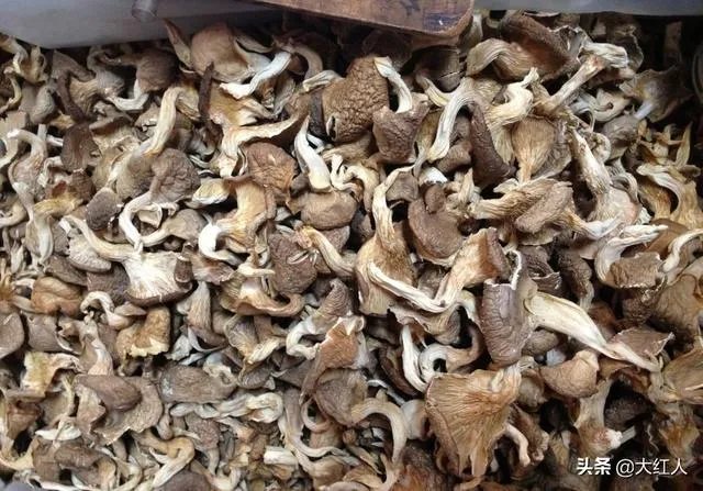 通过什么渠道把云南野生菌销往日韩欧美？