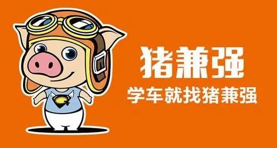 知名驾校猪兼强的经营模式是怎样的,如今为何会负债累累?