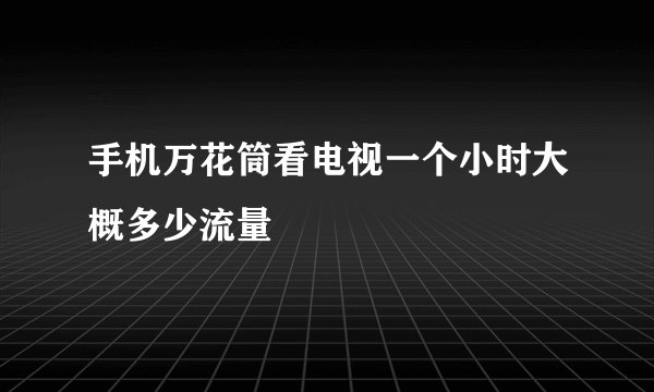 手机万花筒看电视一个小时大概多少流量