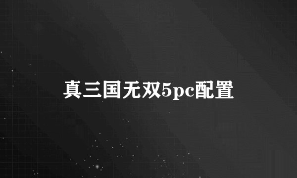 真三国无双5pc配置