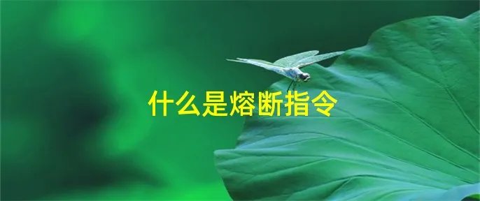 什么是熔断指令