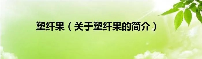 塑纤果（关于塑纤果的简介）