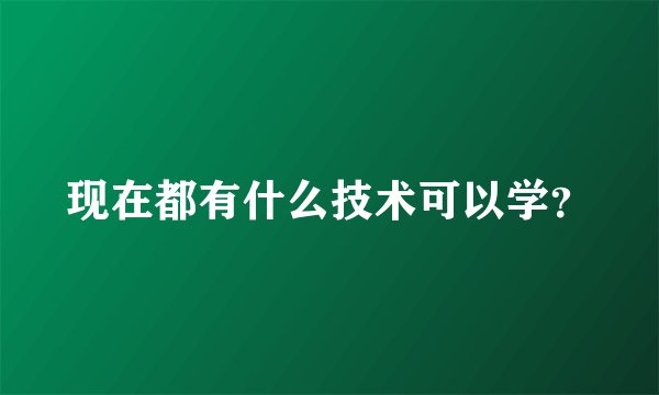 现在都有什么技术可以学？