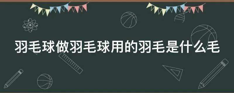 羽毛球做羽毛球用的羽毛是什么毛