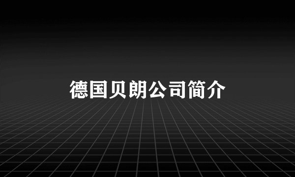 德国贝朗公司简介