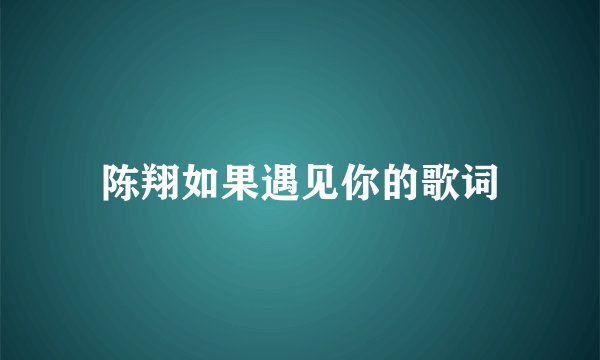 陈翔如果遇见你的歌词