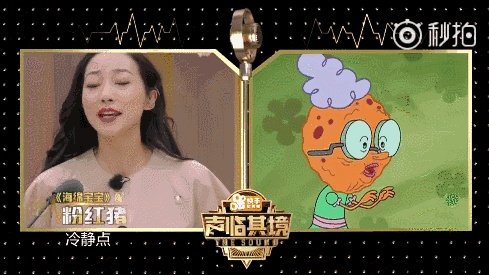 韩雪为什么最近频繁上综艺?