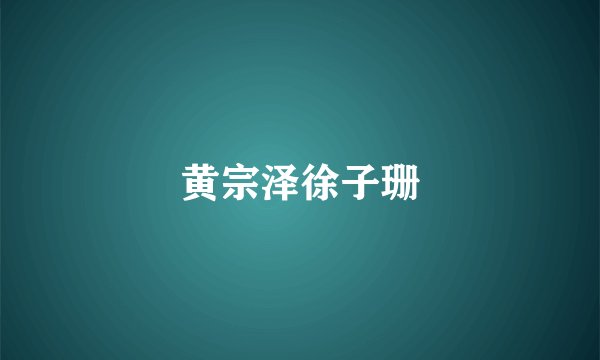 黄宗泽徐子珊