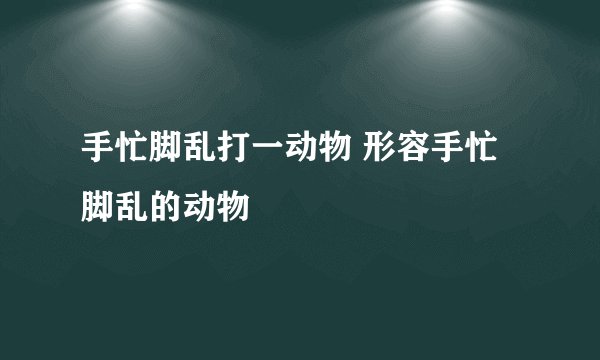 手忙脚乱打一动物 形容手忙脚乱的动物