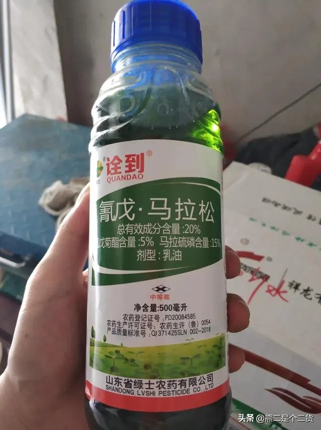 怎么防治柑橘病虫害?