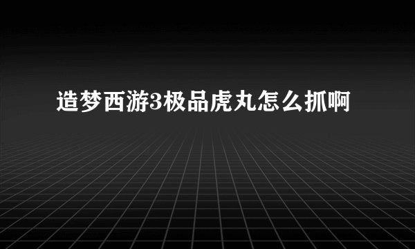 造梦西游3极品虎丸怎么抓啊