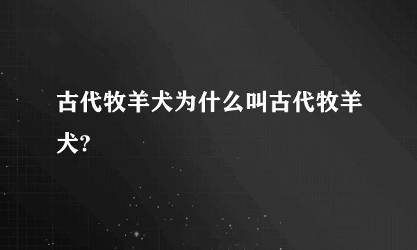 古代牧羊犬为什么叫古代牧羊犬?