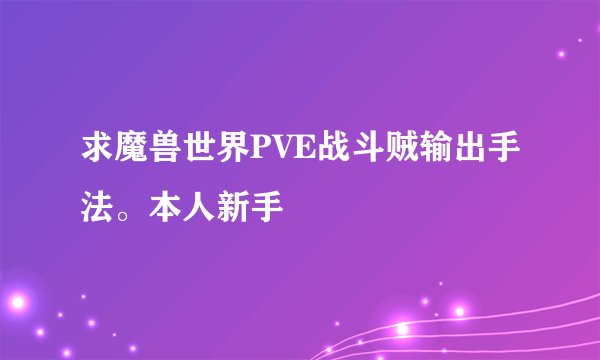 求魔兽世界PVE战斗贼输出手法。本人新手