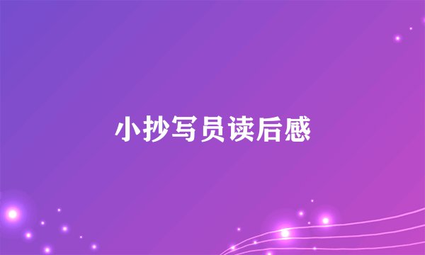 小抄写员读后感