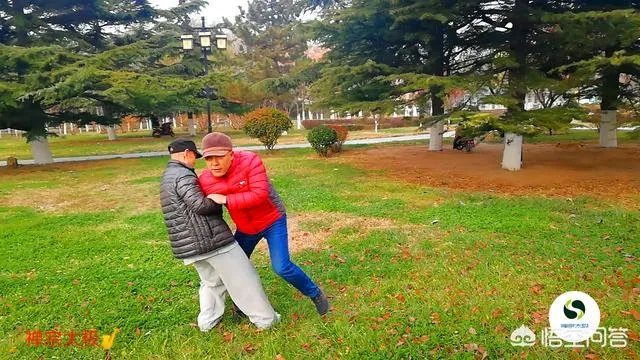如何评价太极推手?